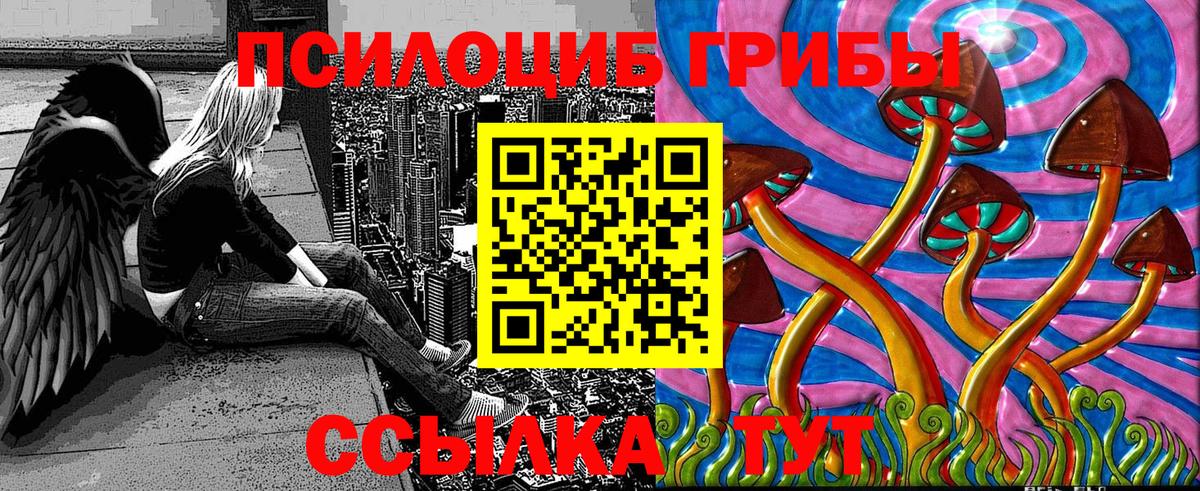 Галлюциногенные грибы GOLDEN TEACHER  Вход с VPN  Псилоцибиновые грибы GOLDEN TEACHER  Куйбышев 